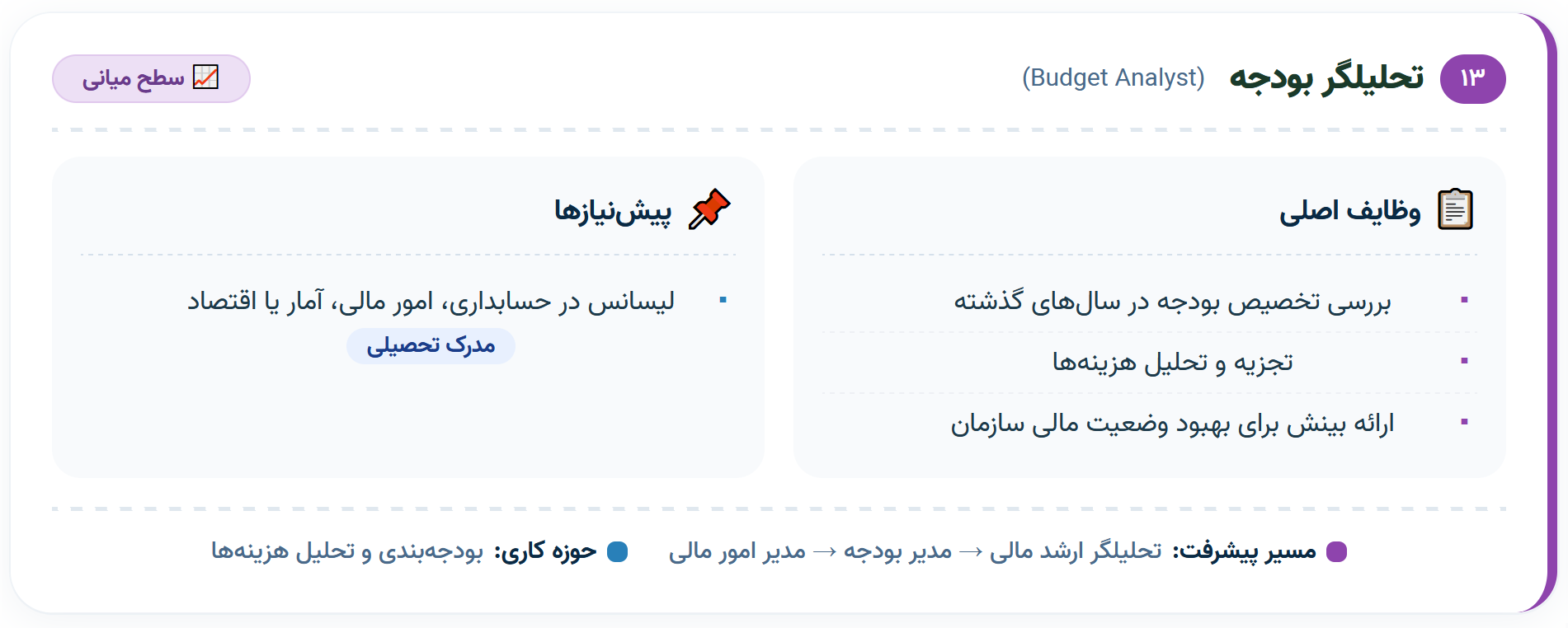 ۱۳. تحلیلگر بودجه (Budget Analyst)
