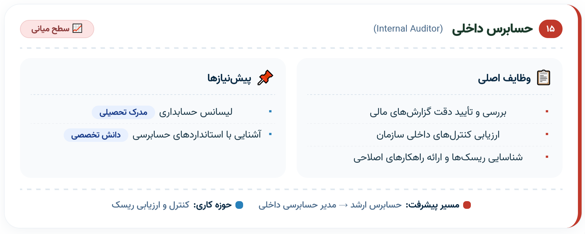 ۱۵. حسابرس داخلی (Internal Auditor)