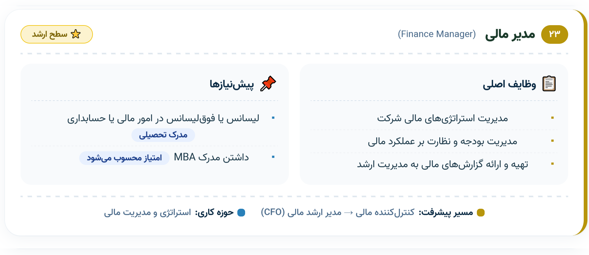 ۲۳. مدیر مالی (Finance Manager)