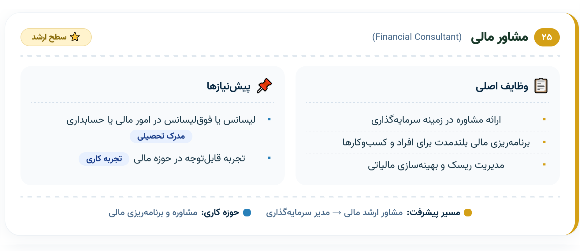 ۲۵. مشاور مالی (Financial Consultant)