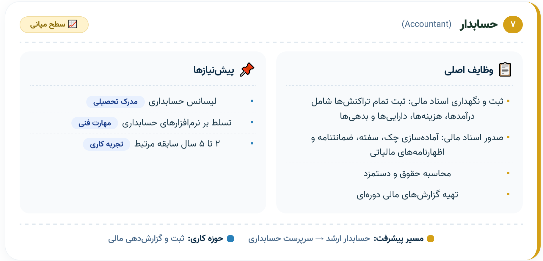 ۷. حسابدار (Accountant)