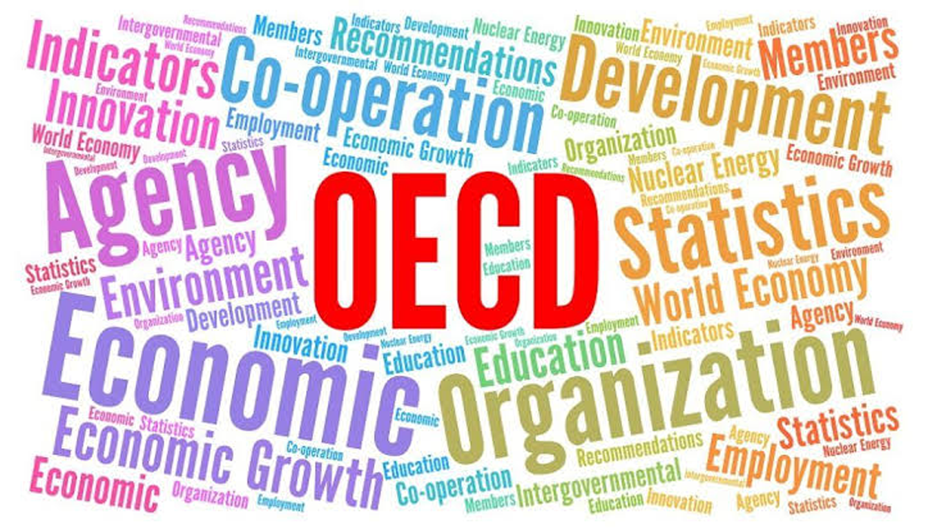 OECD، حسابرسی و کنترل‌های داخلی