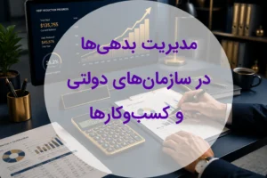 مدیریت بدهی‌ها در سازمان‌های دولتی و کسب‌وکارها | ابزارهای حسابداری و تحلیل مالی